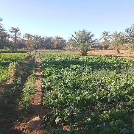 Riad Soleil du Monde Zagora Eksteriør billede
